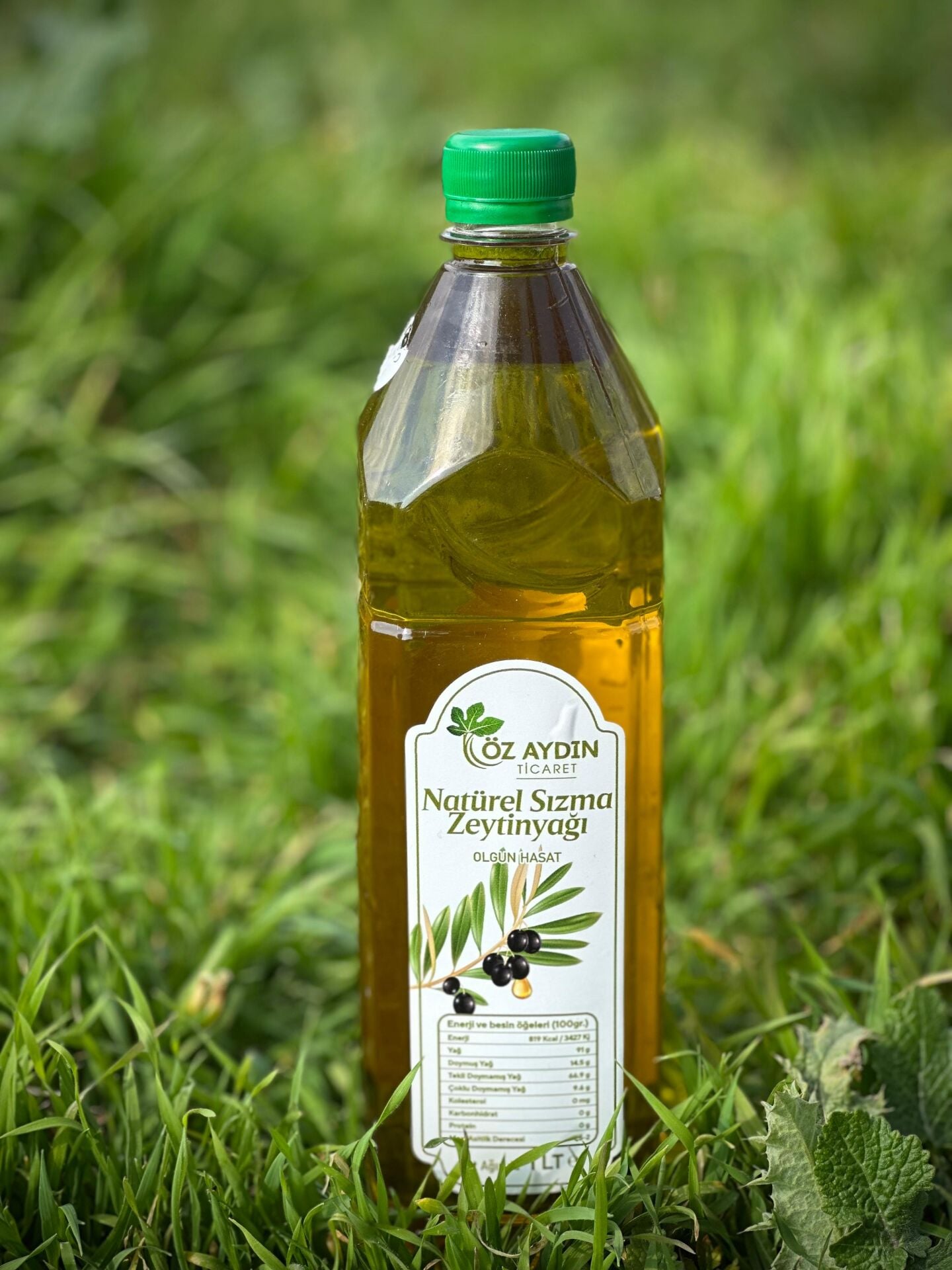 ZEYTİNYAĞI OLGUN HASAT 1L